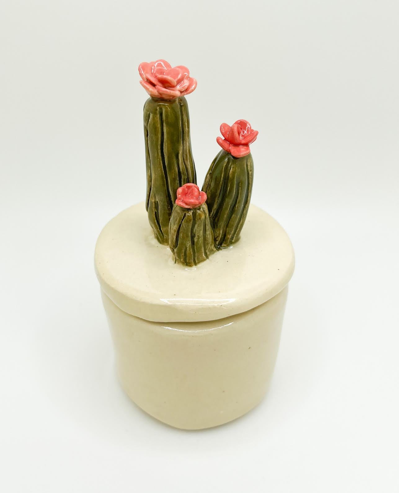 Small Blooming Cactus Box