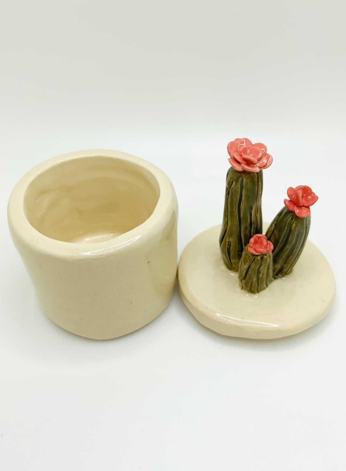 Small Blooming Cactus Box